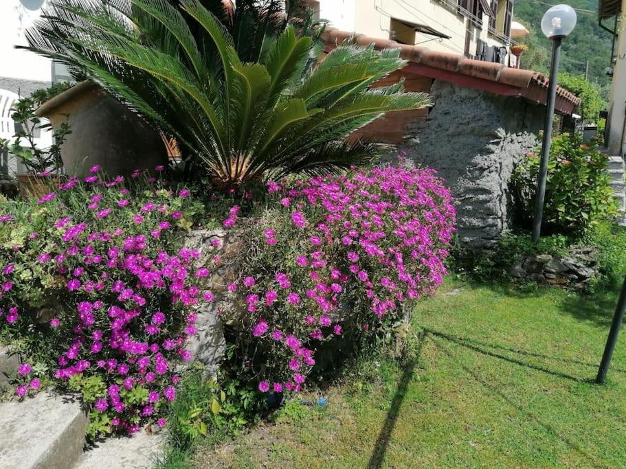 Casa Andreina Villa Salto Chiesa Luaran gambar